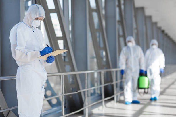 Best Mold Remediation for Vacation Homes  in Port Clinton, OH