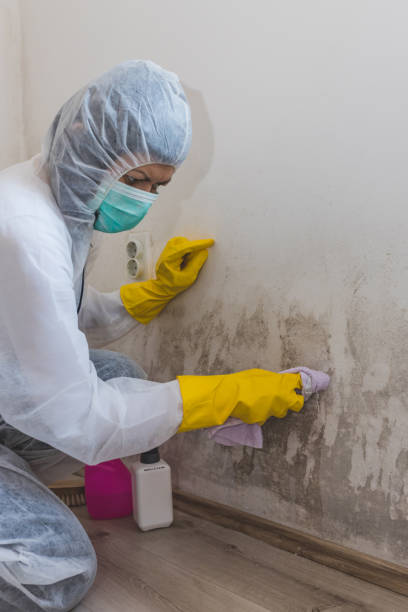 Best Industrial Mold Remediation  in Port Clinton, OH