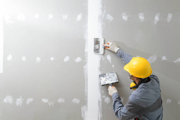 Mold Odor Removal Services in Port Clinton, OH