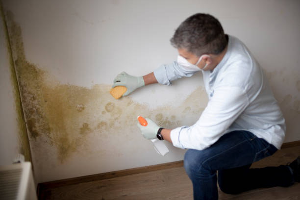 Mold Documentation for Insurance Claims in Port Clinton, OH