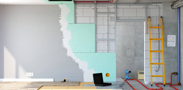 Best Basement Mold Removal  in Port Clinton, OH