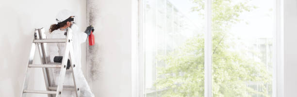 Best Comprehensive Air Testing for Mold Contaminants  in Port Clinton, OH